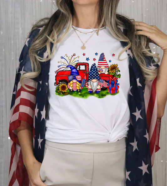 Gnomes-American Flag Print