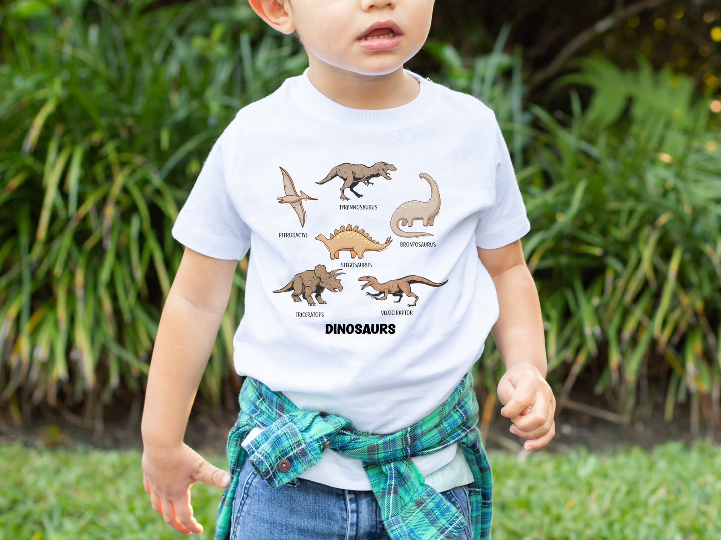 Dinosaurs