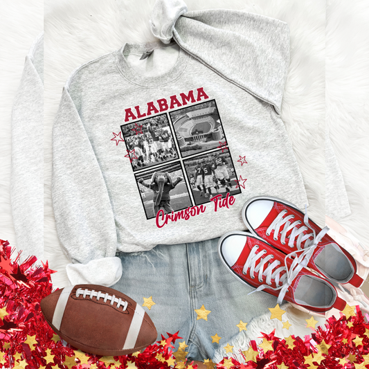 Alabama crimson tide