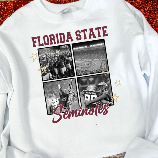 Florida State Seminoles