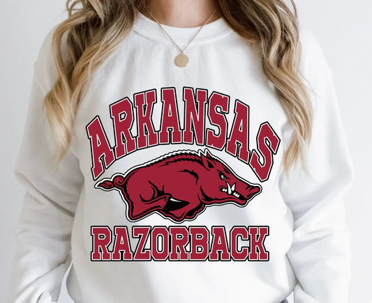 Arkansas Razorback, with mascot